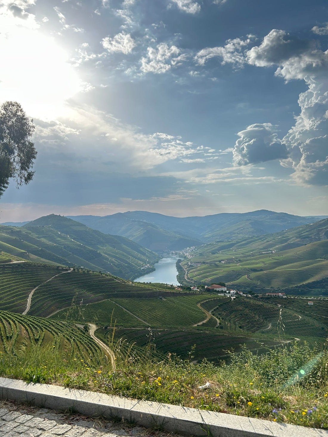 Valle del Douro, una de las regiones vinícolas más emblemáticas de Portugal